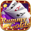 dragon rummy icon
